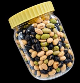 Protein Beans